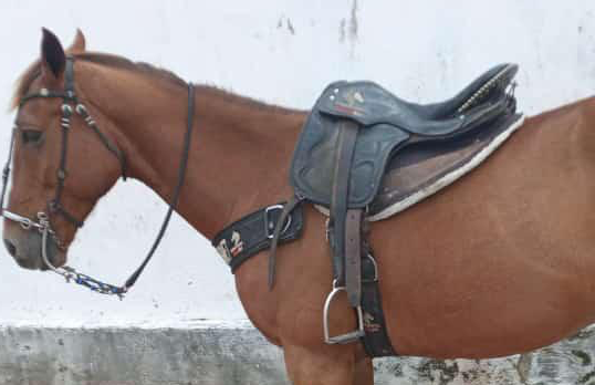 ROUXINAL SILVER